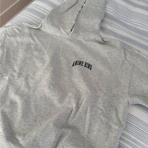 Anine Bing Gray Hoodie